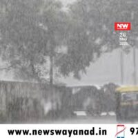 ഒറ്റപ്പെട്ട ശക്തമായ മഴയ്ക്ക് സാധ്യത; വയനാട്ടിൽ യെല്ലോ അലർട്ട്