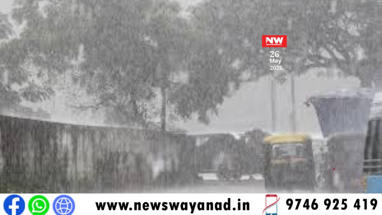 template for wayanad news (5)