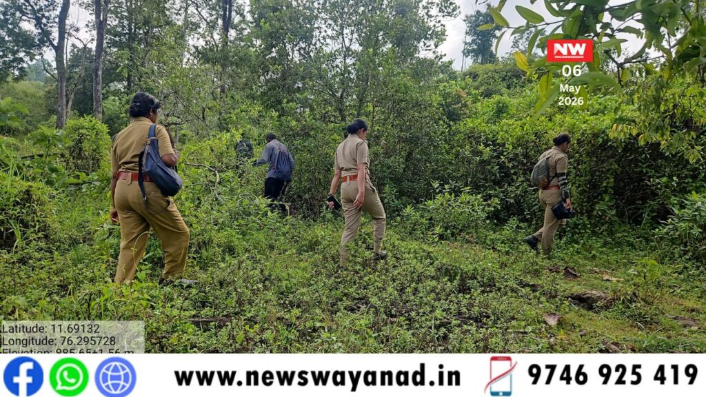 template for wayanad news (7)