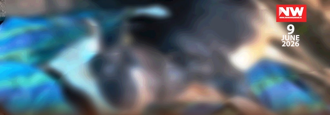 IMG_20260609_115929