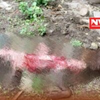 പുൽപ്പള്ളിയിൽ വളർത്തുനായയെ വന്യജീവി ആക്രമിച്ചു കൊന്നു