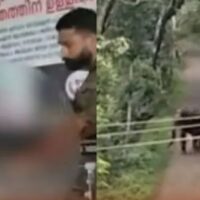 പ്രതിഷേധം ഫലം കണ്ടു; കാട്ടാന ആക്രമണത്തിൽ മരിച്ച രാജുവിന്റെ കുടുംബത്തിന് 14 ലക്ഷം രൂപ നഷ്ടപരിഹാരം നൽകും