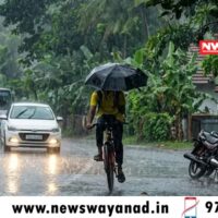 മഴ കനക്കും; വയനാട് ജില്ലയിൽ ഇന്നും നാളെയും യെല്ലോ അലർട്ട്
