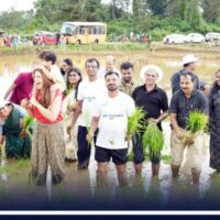 ആട്ടവും പാട്ടുമായി ഞാറു നട്ടു; കമ്പളനാട്ടി നാടിന്റെ ഉത്സവമായി