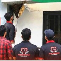 തരിയോട് നിർമ്മല ഹൈസ്‌കൂളിലെ തേനീച്ചക്കൂട്ടത്തെ പൾസ് എമർജൻസി ടീം സുരക്ഷിതമായി മാറ്റി